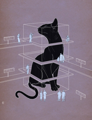The Quantum Zoo